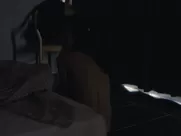 Marion Cotillard - Rust and Bone (2012)