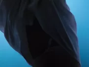 Kim Basinger - ULTIMATE FAP CUMPILATION