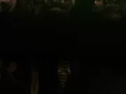 Jennifer Lawrence - ULTIMATE FAP CUMPILATION