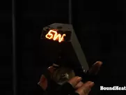 Paulina Zrnova  - Betrayed Cargo (2013) 2