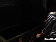 Paulina Zrnova  - Betrayed Cargo (2013) 2