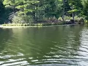 Sabrina Carpenter Skinny Dipping TikTok Video