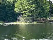 Sabrina Carpenter Skinny Dipping TikTok Video