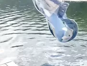 Sabrina Carpenter Skinny Dipping TikTok Video