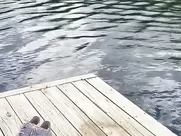 Sabrina Carpenter Skinny Dipping TikTok Video