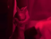 Jenny Abog, Vanessa Wright, Micah Musa - Sabado (2019)