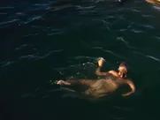 Mia Wasikowska - Tracks  (2013)