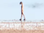 Mia Wasikowska - Tracks  (2013)