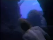 Cheryl Ladd - One West Wakiki