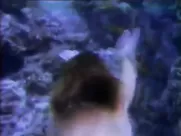 Cheryl Ladd - One West Wakiki