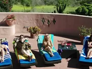 Aria London, Heather Paige, Cohn Mindy Robinson - Road Hard (2015)