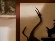 Alex Meneses Nude, Nicole Eggert (nn) - Amanda and the Alien (1995) movie sex scenes porn