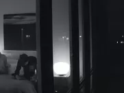 Alexia Rasmussen, Nora Zehetner nude - Creative Control (2015) celeb sex scene