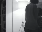 Alexia Rasmussen, Nora Zehetner nude - Creative Control (2015) celeb sex scene