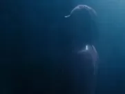 Amy Adams, Isla Fisher, Ellie Bamber Nude - Nocturnal Creatures (2016) netflix sex scenes