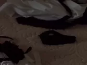 Ashley Laurence nude and black personal driver are lovers doing in front of mirror movie sex scenes porn