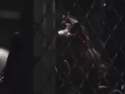 Celebs Fuck Episode Katey Sagal forced hook-up vignette in Sons of Anarchy best sex scenes