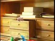 Condom sex mainstream cinema