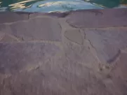 Camilla Luddington sex scene - Californication S05 (2012) extra mile movies