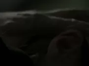 Claire Forlani nude - An Affair to Die For (2019) mainstream cinemas unsimulated sex