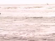 Chloe Bridges Sexy - Mantervention (2014) movie sex scenes porn