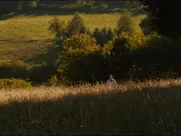 Cecile De France & Izia Higelin - La belle saison (2015) celeb sex scene