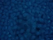 Charlize Theron, Sofia Boutella Nude - Atomic Blonde (2017) Naked scenes real sex in mainstream cinema