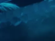 Charlize Theron, Sofia Boutella Nude - Atomic Blonde (2017) Naked scenes real sex in mainstream cinema