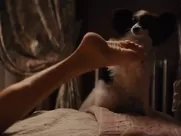 Explicit sex scene of Margot Robbie and Leonardo DiCaprio from The Wolf of Wall Street romantic sex scene