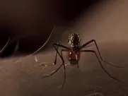 Dexter movie sex scenes compilation FULL HD hottest sex scenes