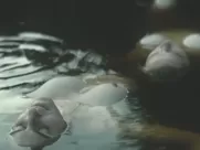 Hannah Murray, Elinor Crawley nude - Bridgend (2015) tv show sex scenes