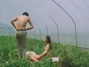 Doona Bae & Other - Plum Blossom (2000) hottest movie sex scenes