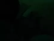 Eliza Taylor Nude - The November Man (2014) extended sex scenes