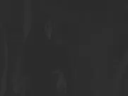 Hilary Swank, Miranda Otto, Sonja Richte -  The Homesman (2014) (Sex, Nude, Bush) movie star sex scenes