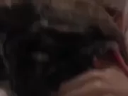 Gabrielle Anwar Nude - Body Snatchers (1993) extended sex scenes