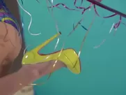 Emily Ratajkowski shows off boobs and smooth pussy in compilation of video shoots lingerie sex scene