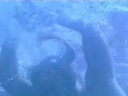 Izabella Scorupco nude, Erika Hoghede nude – Petri tarar (1995) best sex scenes