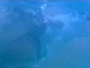 Izabella Scorupco nude, Erika Hoghede nude – Petri tarar (1995) best sex scenes