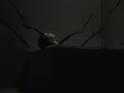 India Eisley nude - Look Away (2018) best sex scenes on netflix