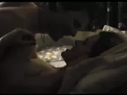 Gillian Alexy, Yael Stone Nude - West (2007) sex in mainstream cinema