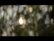 Juno Temple, Julia Garner Nude - One Percent More Humid (2017) unsimulated sex in mainstream cinema