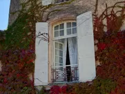 Holliday Grainger Nude - Patrick Melrose s01e02 (2018, SEX) real sex scenes in movies