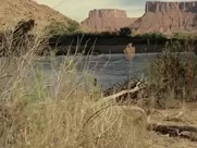 Ingrid Bolso Berdal Nude - Westworld (2016) s01e04 movie sex scenes porn