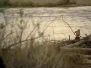 Ingrid Bolso Berdal Nude - Westworld (2016) s01e04 movie sex scenes porn