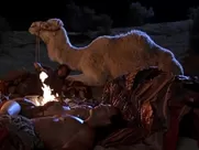 Kelly Hu sexy – The Scorpion King (2002) unsimulated sex in mainstream cinema