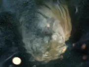 Katy Perry Sexy - Roar (2013) great sex scenes