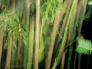 Katy Perry Sexy - Roar (2013) great sex scenes