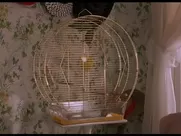 Kelly Preston - Mischief - Hot first Sex Scene HD sex in cinema mainstream