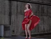 Kelly LeBrock nude - The Woman in Red (1984) famous sex scenes