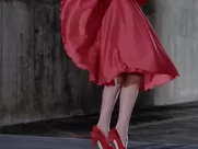 Kelly LeBrock nude - The Woman in Red (1984) famous sex scenes